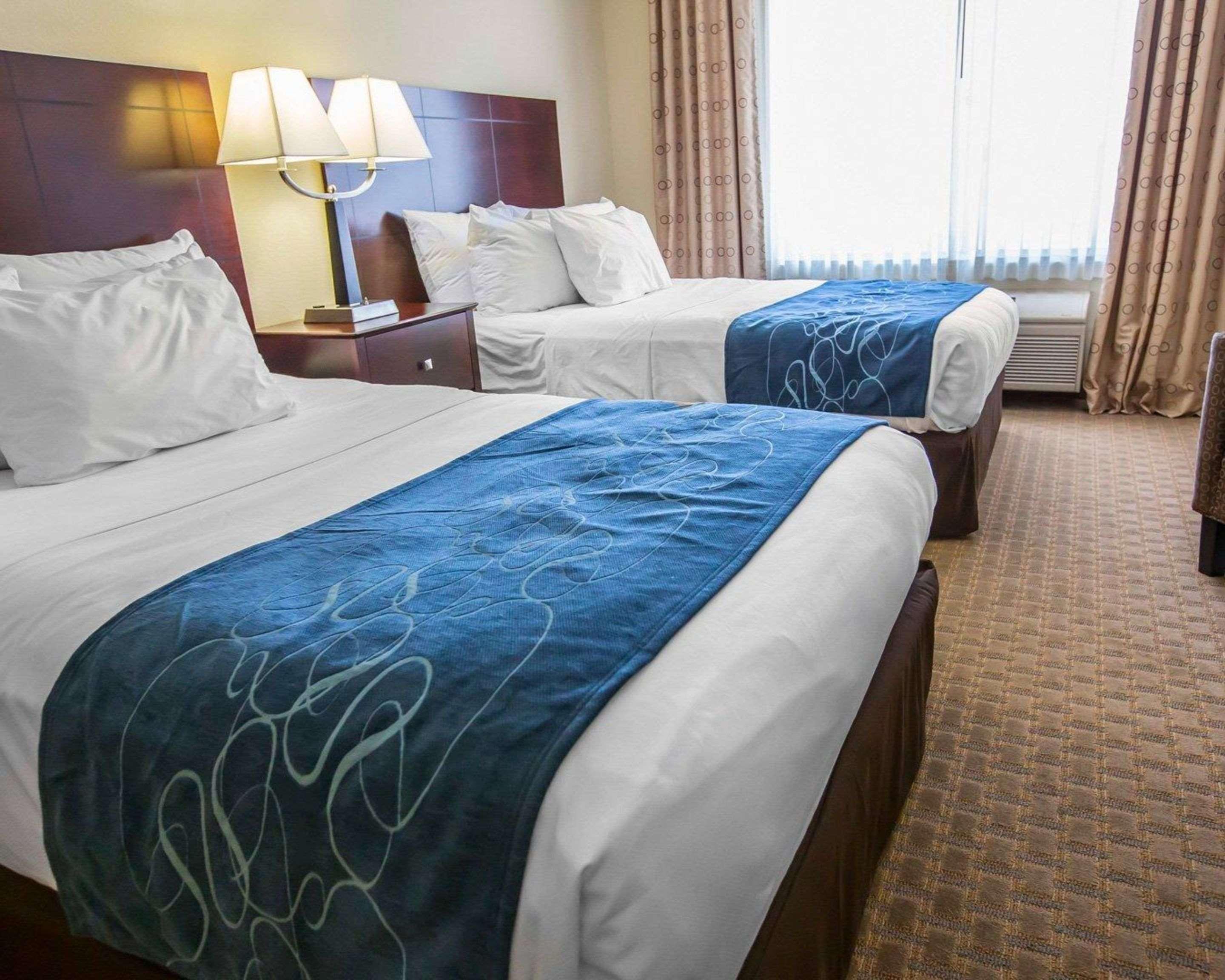 Comfort Suites University Area Notre Dame-South Bend Extérieur photo